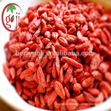 Ningxia Herkunft Bio Goji Beeren